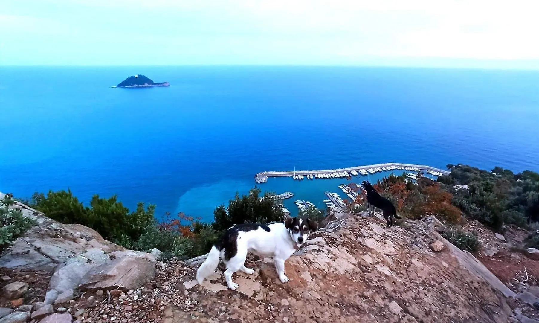 Hotel Europa&Concordia Alassio